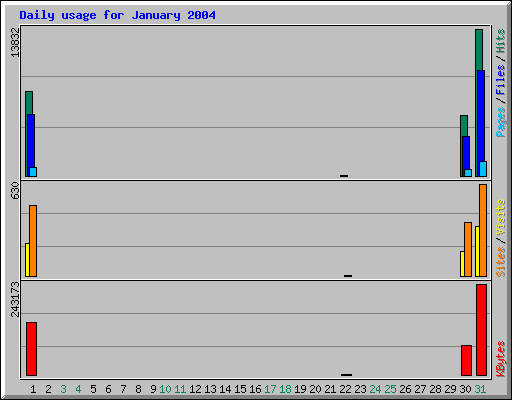 Daily usage for January 2004