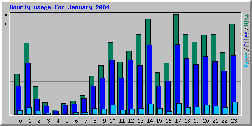 Hourly usage for January 2004